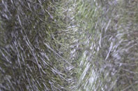 Gatherley fibreglass roof work